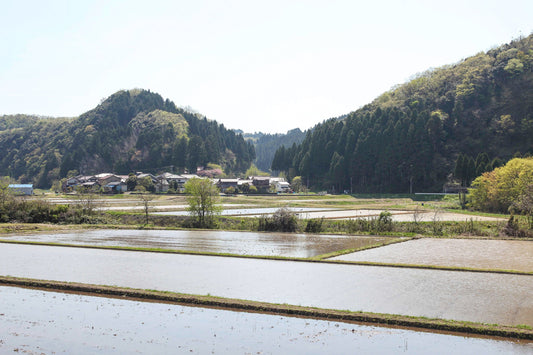 Vous êtes vous déjà demandé comment sont fabriquées vos boîtes à bento ?