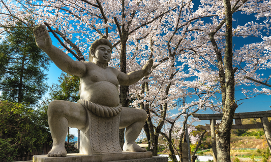 Au cœur du ring : à la découverte du monde du sumo
