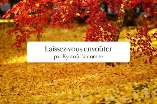 Laissez-vous envoûter par Kyoto à l’automne