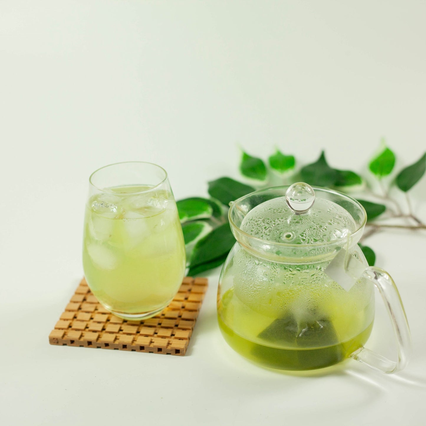 Thé vert japonais froid (20 sachets)