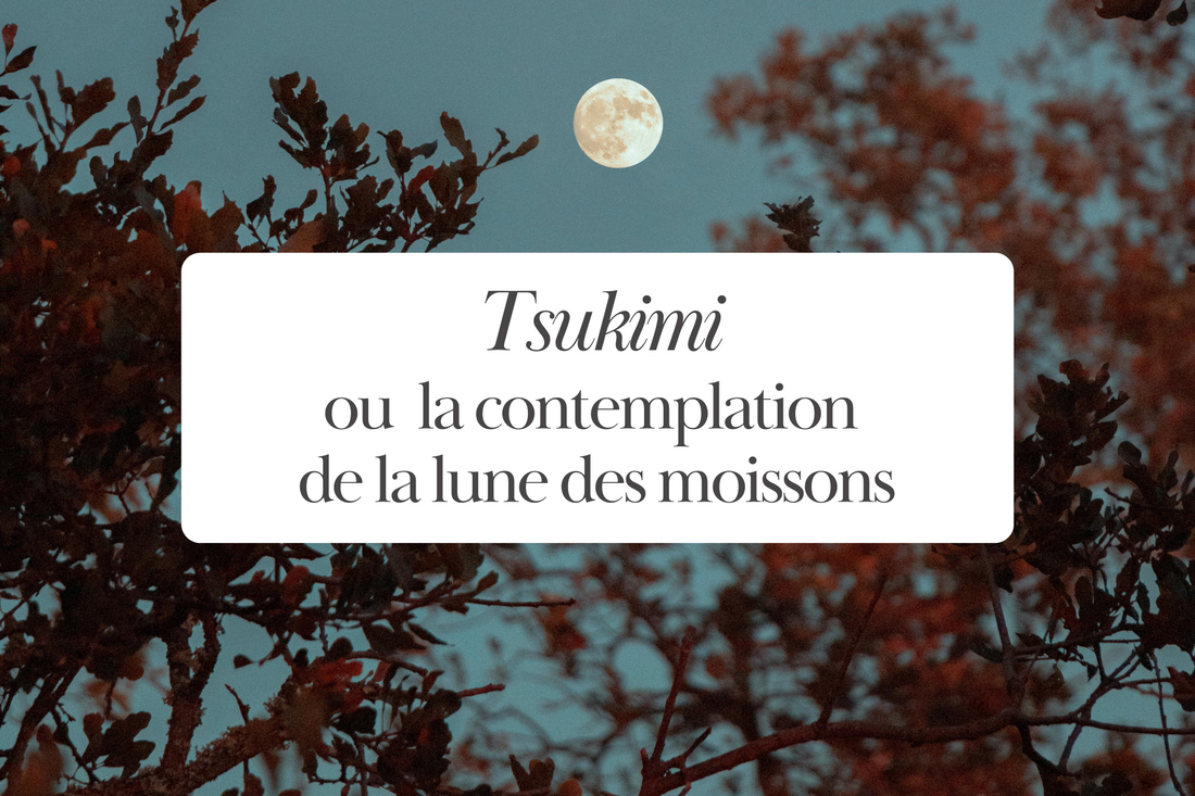 Tsukimi, ou la contemplation de la lune des moissons