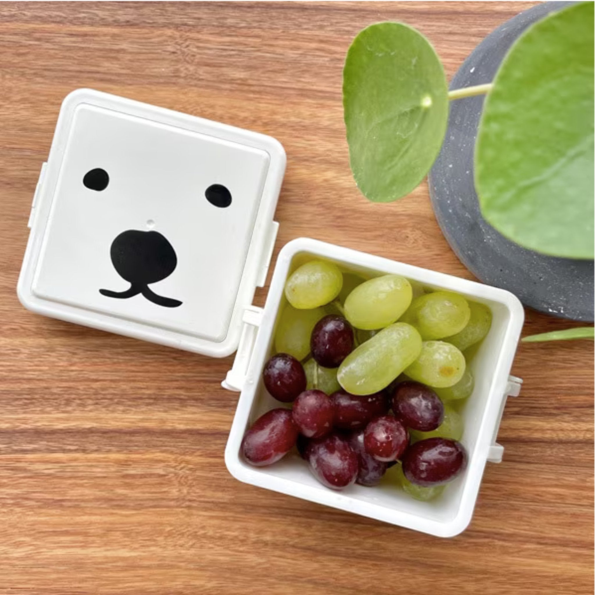 Bento Gel-Cool - Gardez votre nourriture au frais jusqu’au déjeuner !