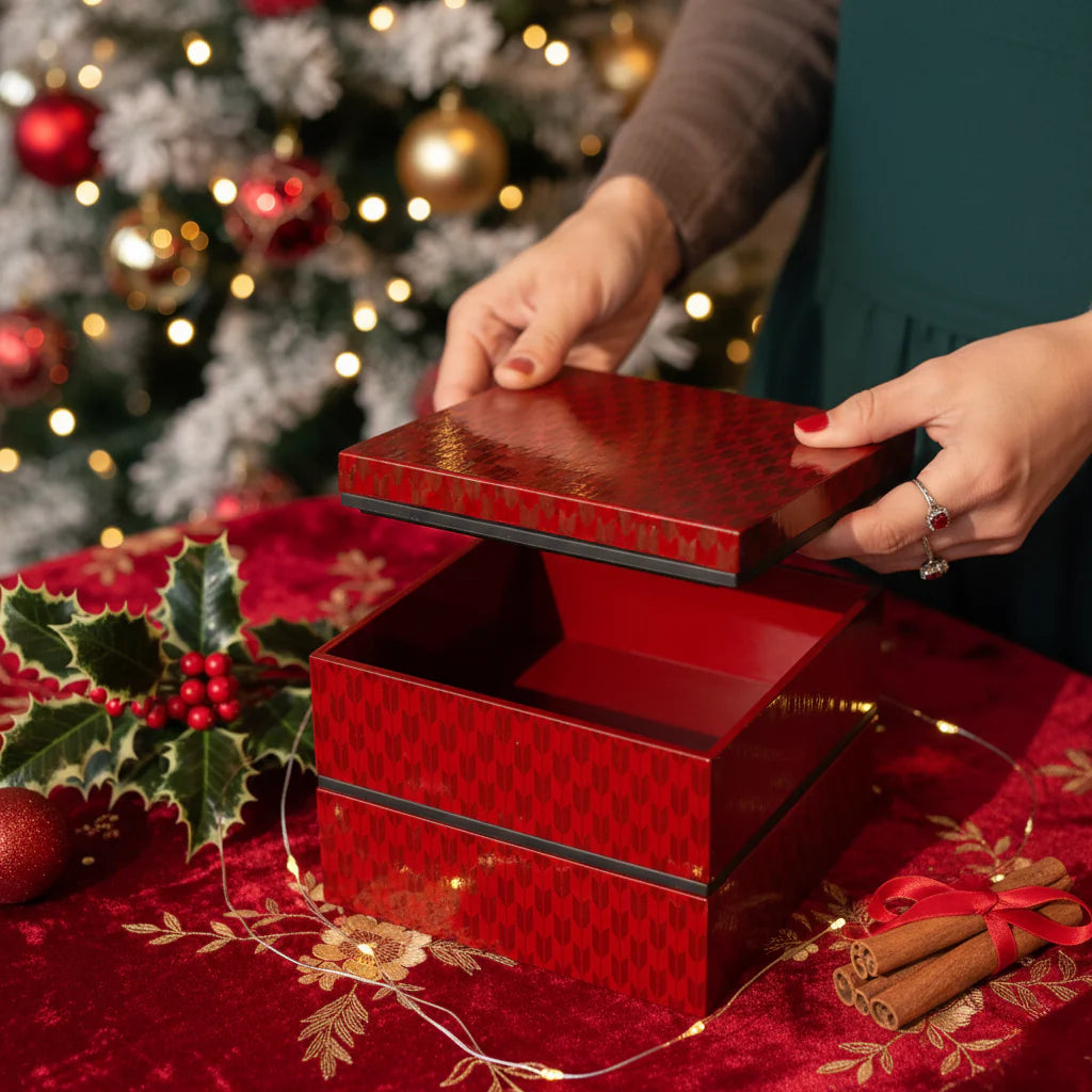 Découvrez nos dernières nouveautés