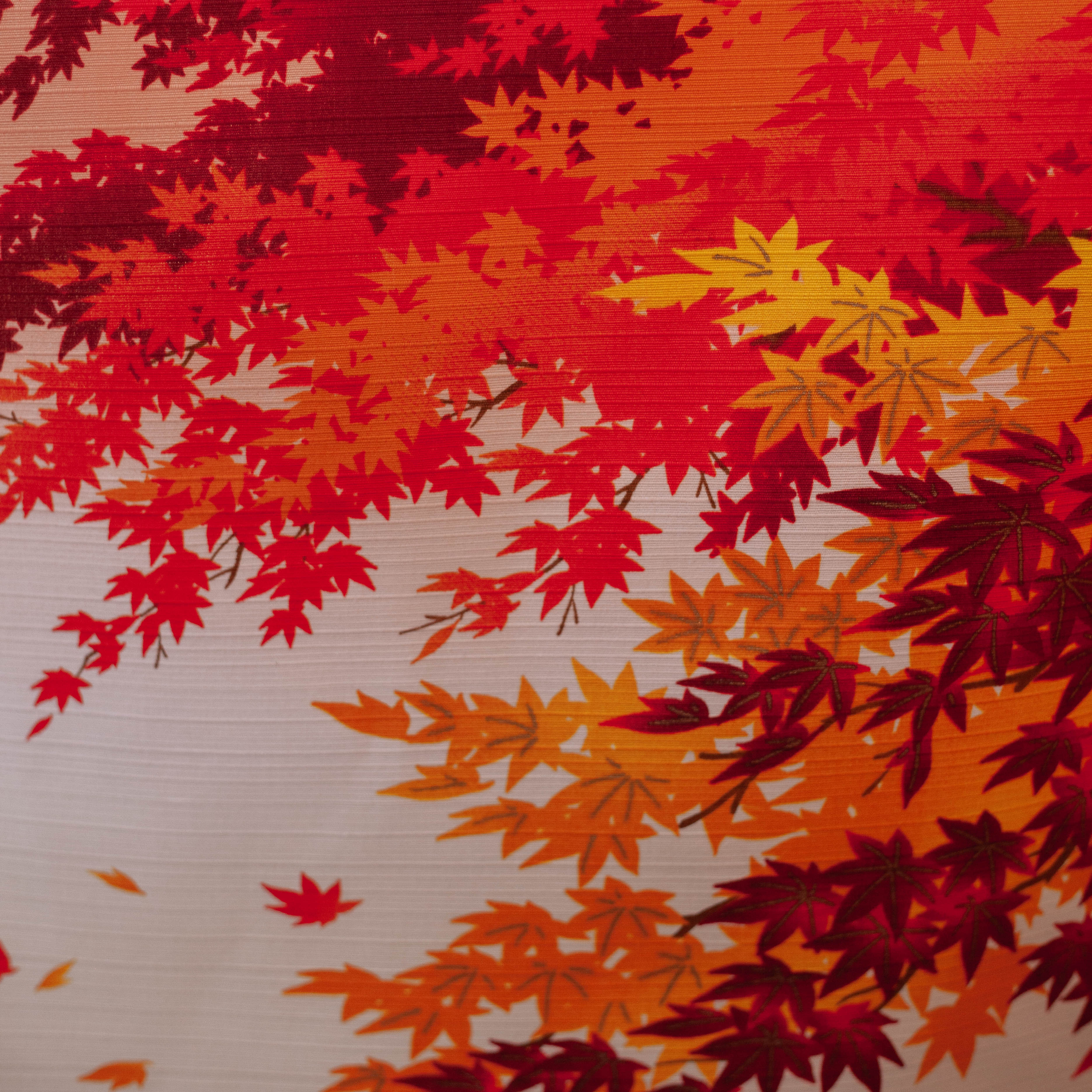 Furoshiki Aki (50 cm)