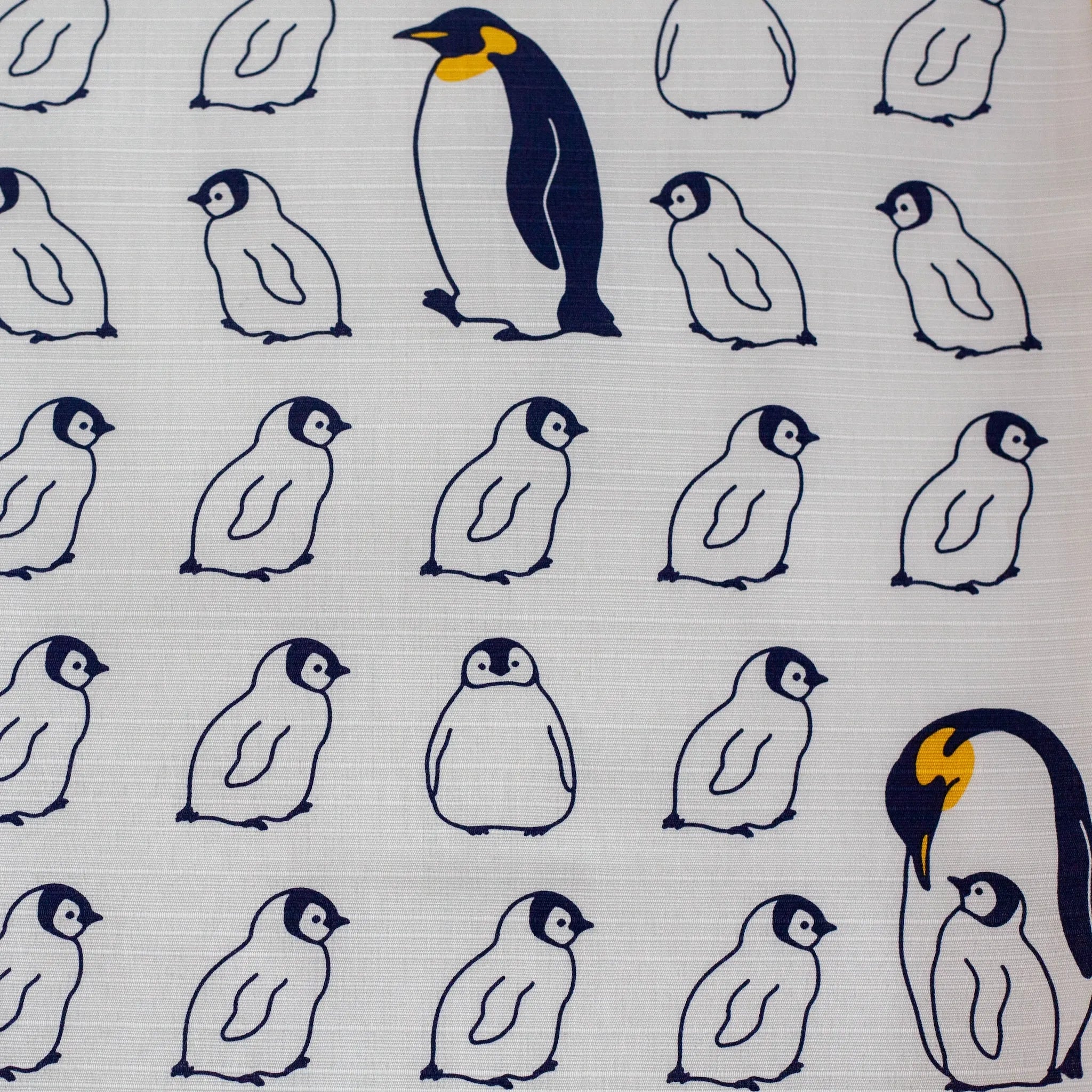 Furoshiki Pingouins (50 cm)