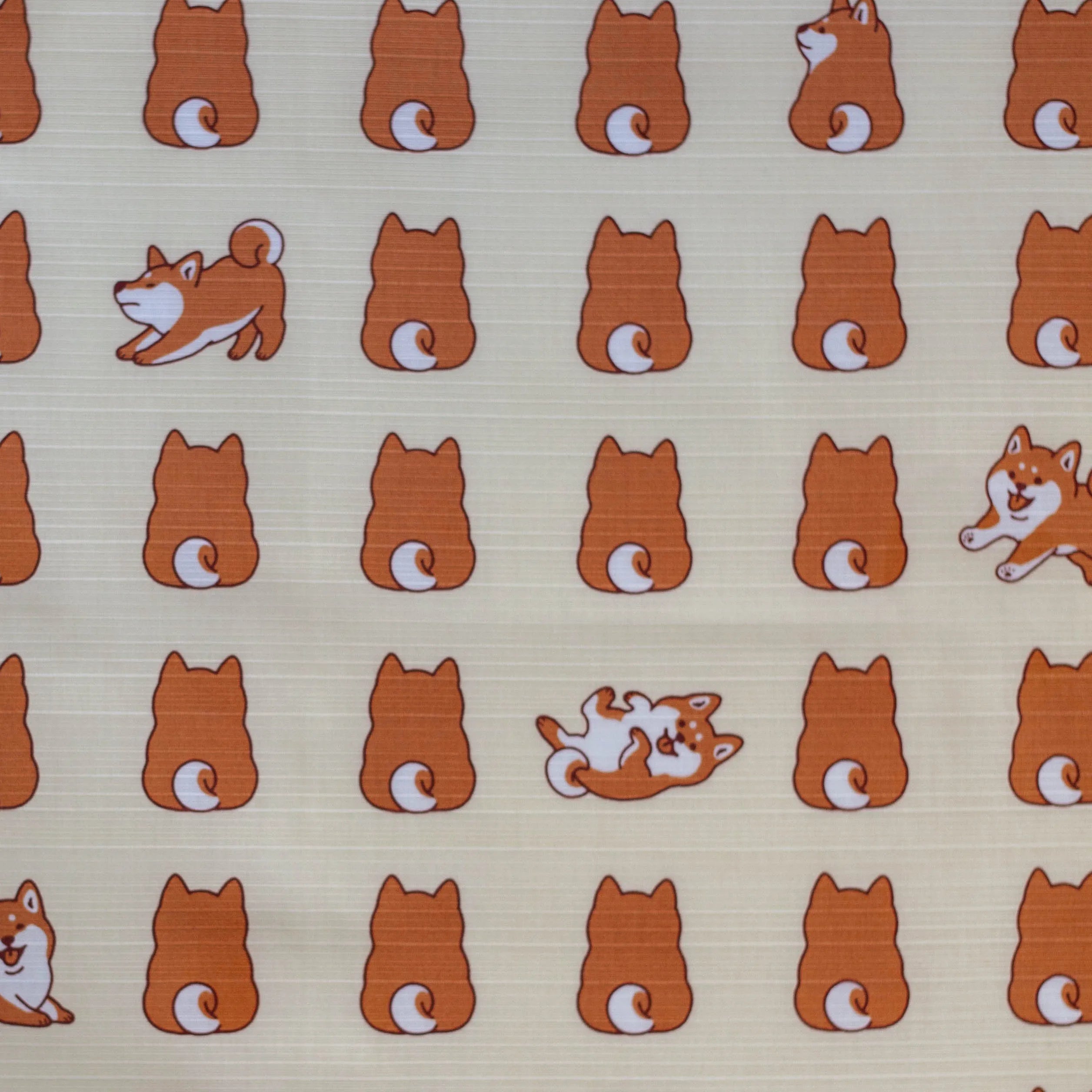 Furoshiki Shiba Inu (50 cm)