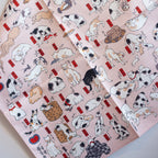 Furoshiki Sumidagawa - Myokaiko (48 cm)