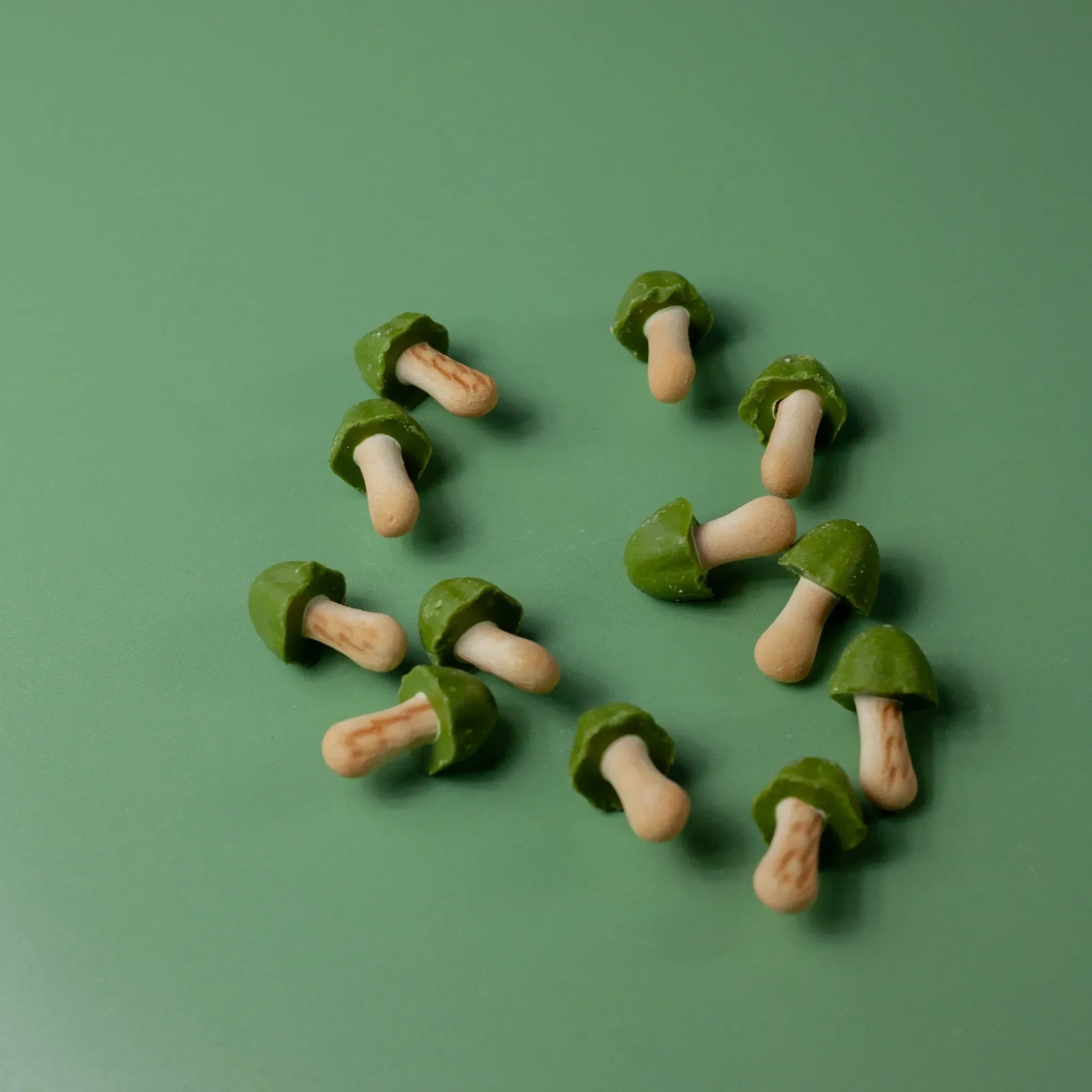 Biscotti Kinoko no Yama - Gusto Matcha