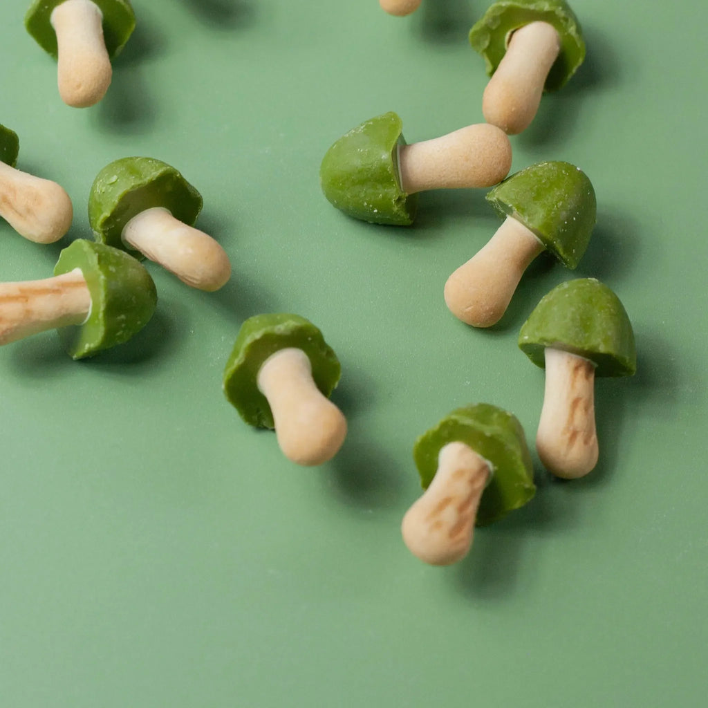 Biscotti Kinoko no Yama - Gusto Matcha