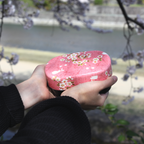Bento Sakura Usagi (570 ml)