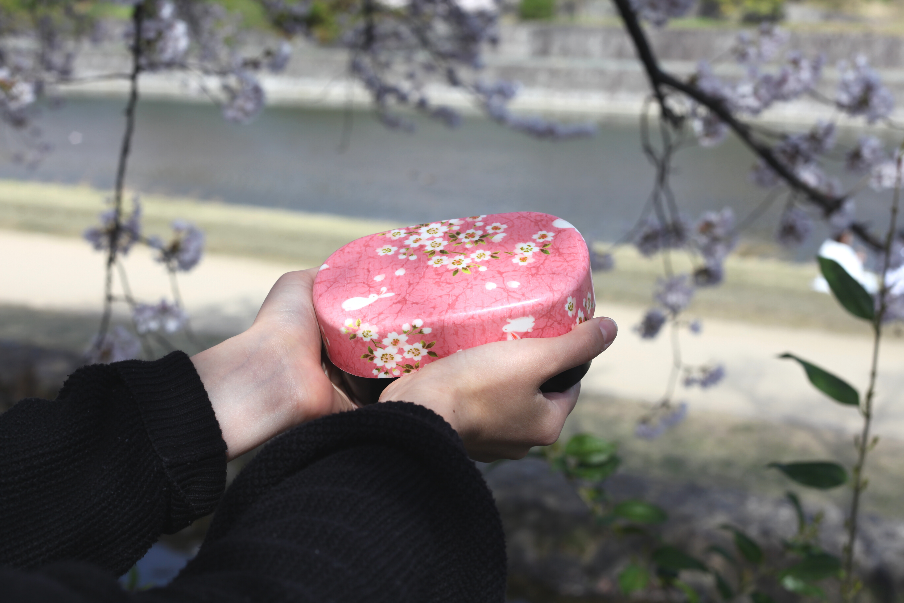 Bento Sakura Usagi (rosa, 570 ml)