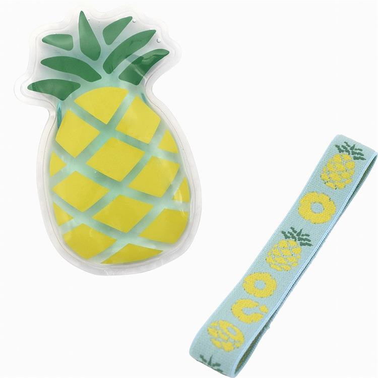 Set Elastique et Pain de Glace Fruits