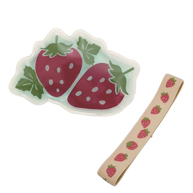 Set Elastique et Pain de Glace Fruits