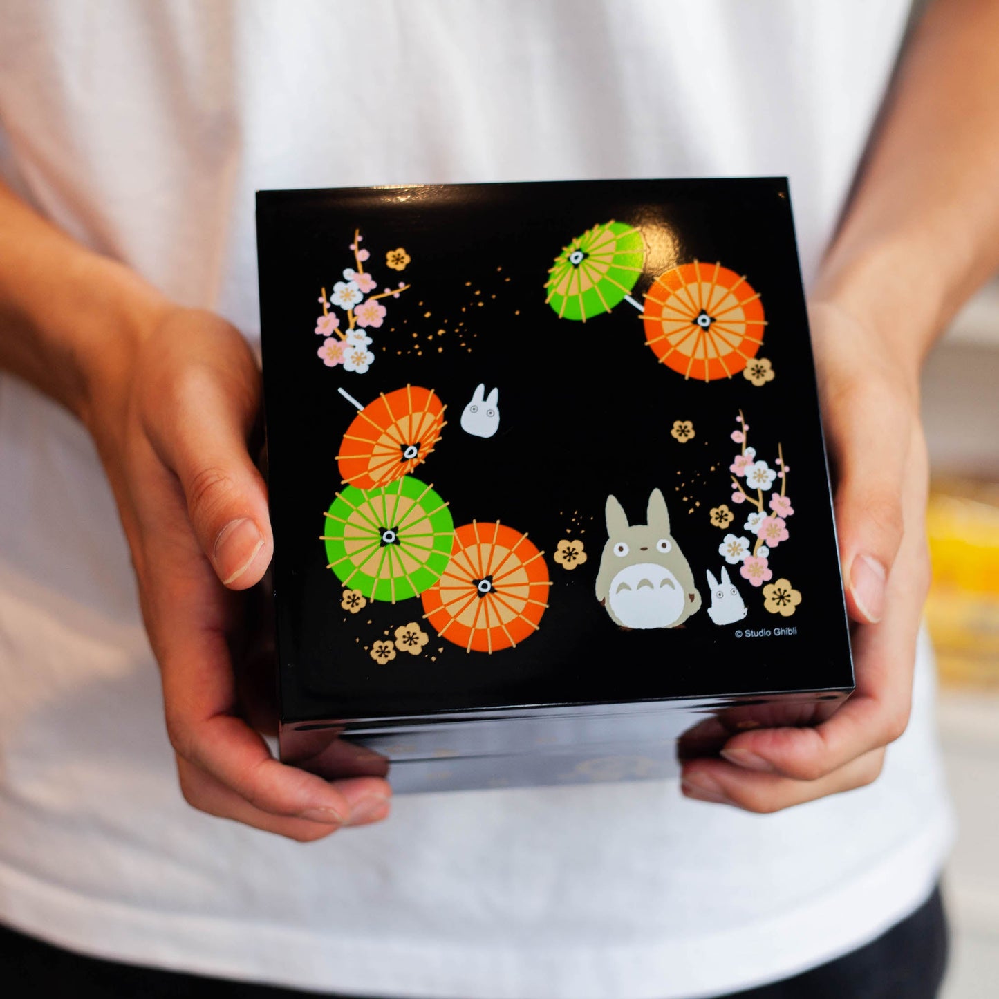 Wagasa Totoro picknick bento (15 cm, 2 lagen)