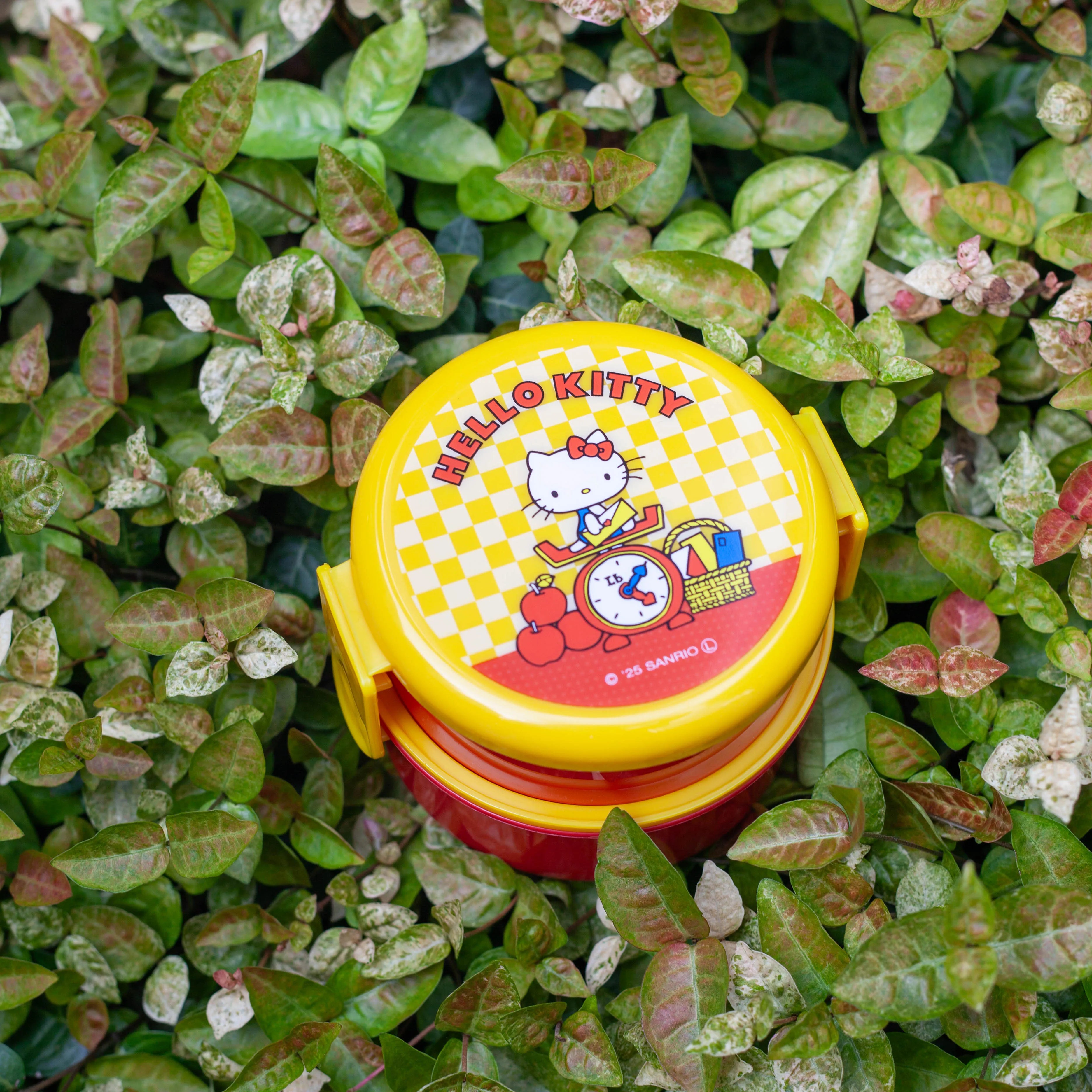 Bento rond Hello Kitty Retro