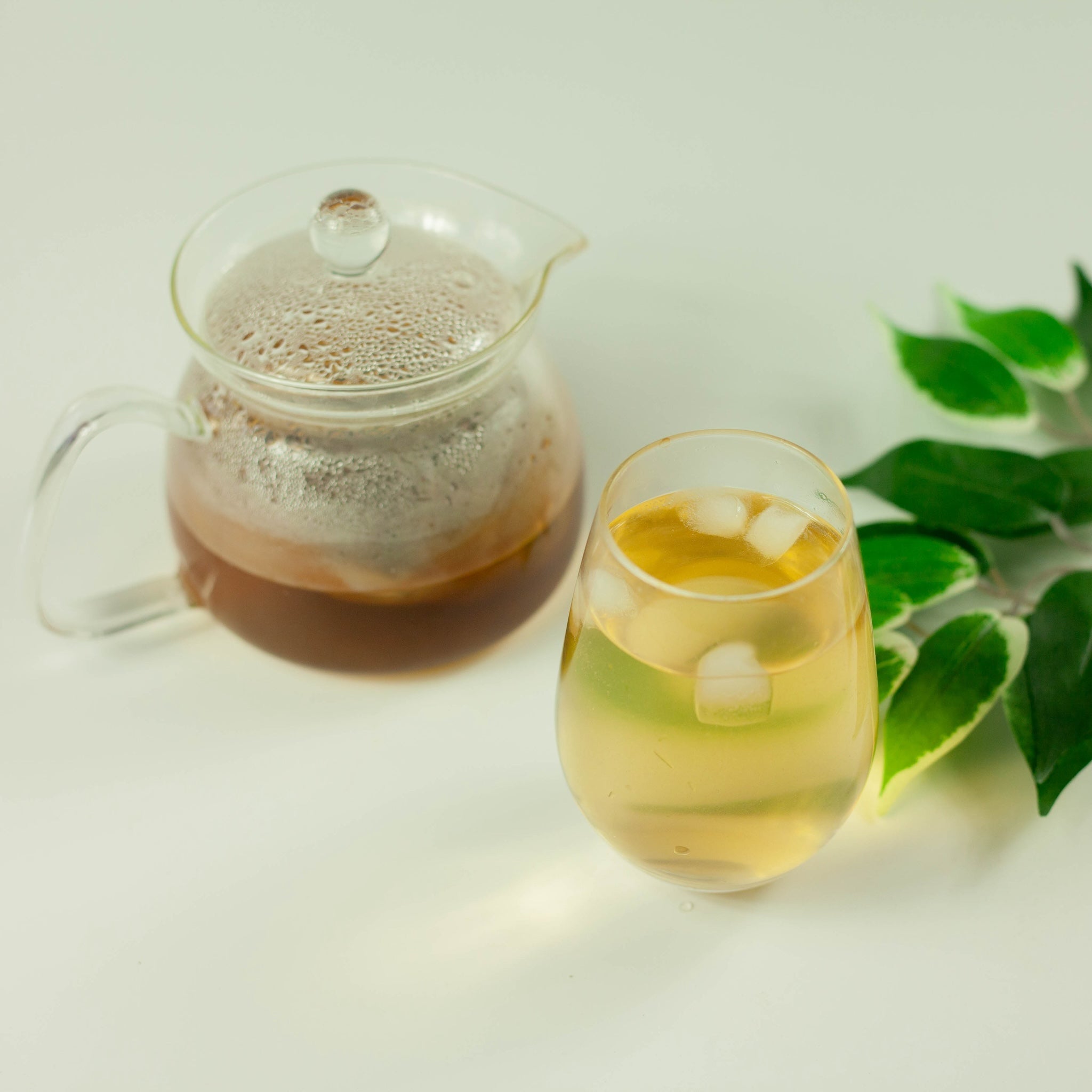 Tè d'orzo giapponese Mugicha (10 bustine)