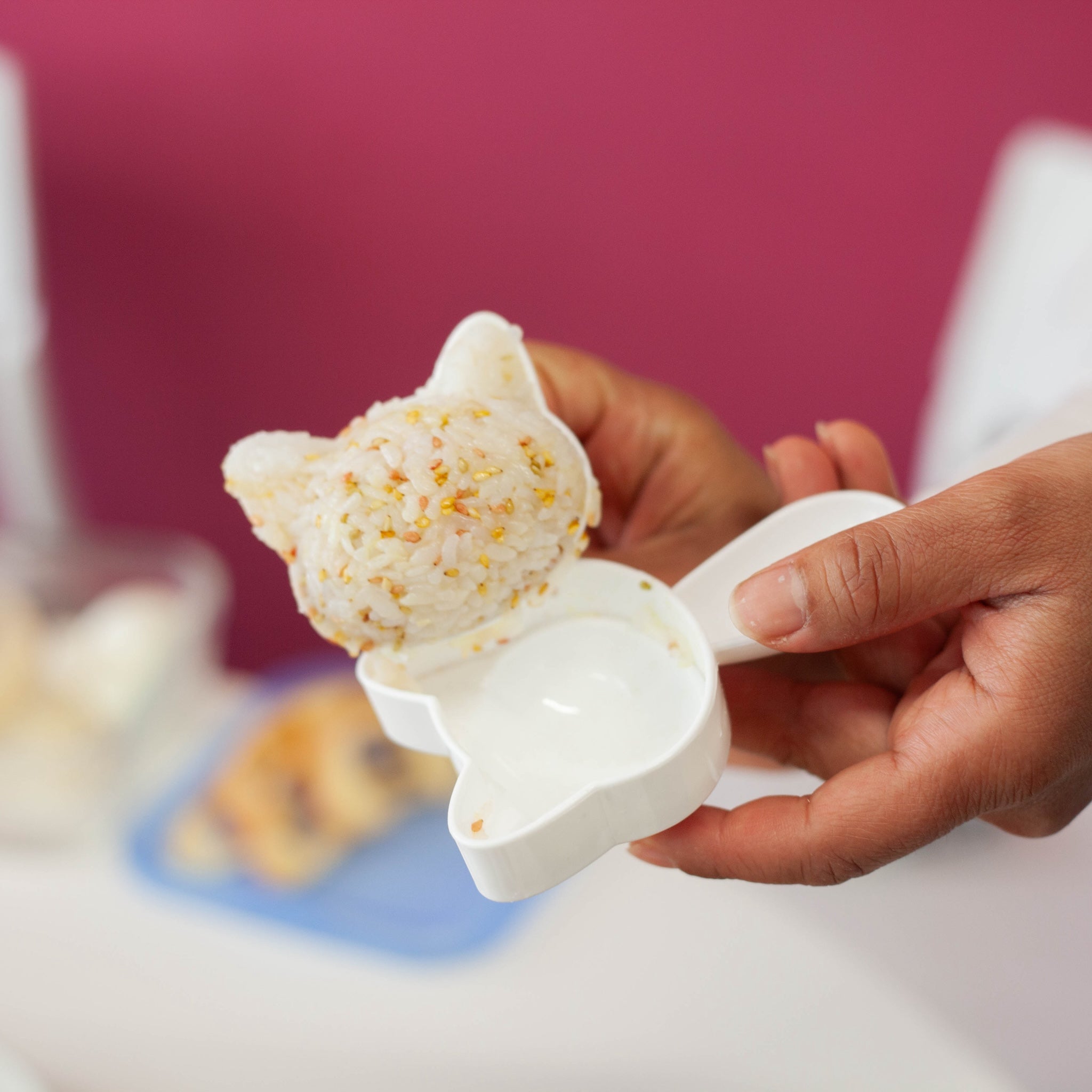 Moule à riz - Neko Kao