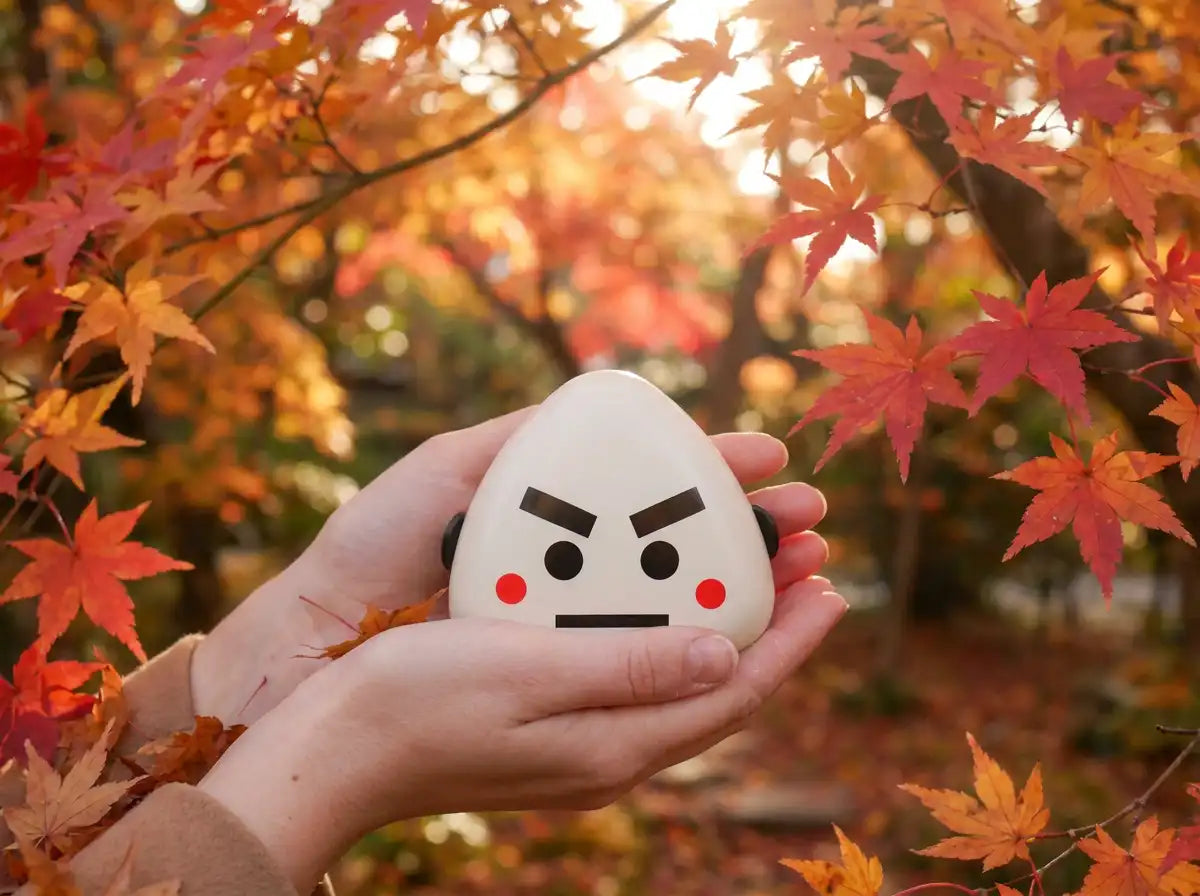 Bento&co FR