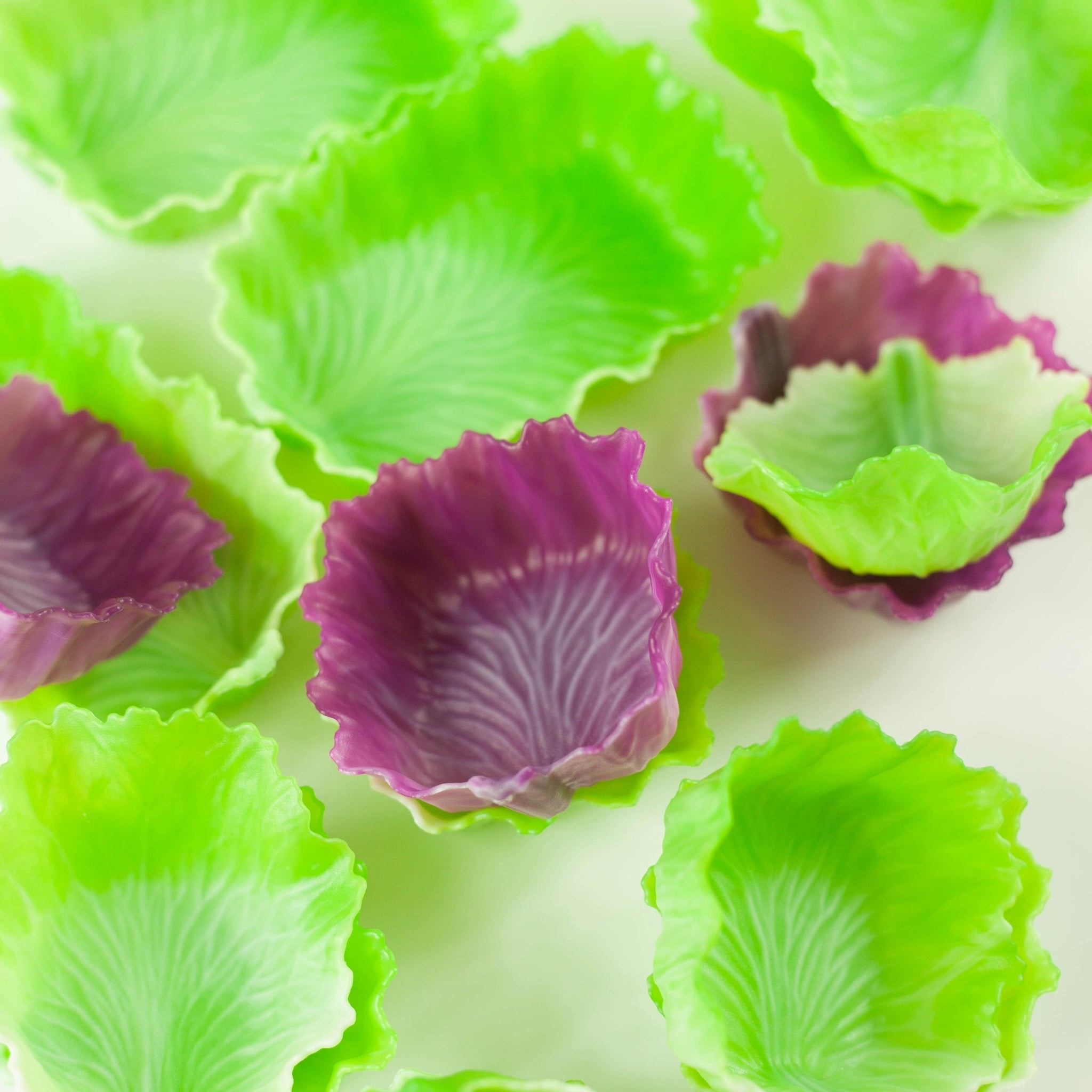 Veggie Cups - Feuilles