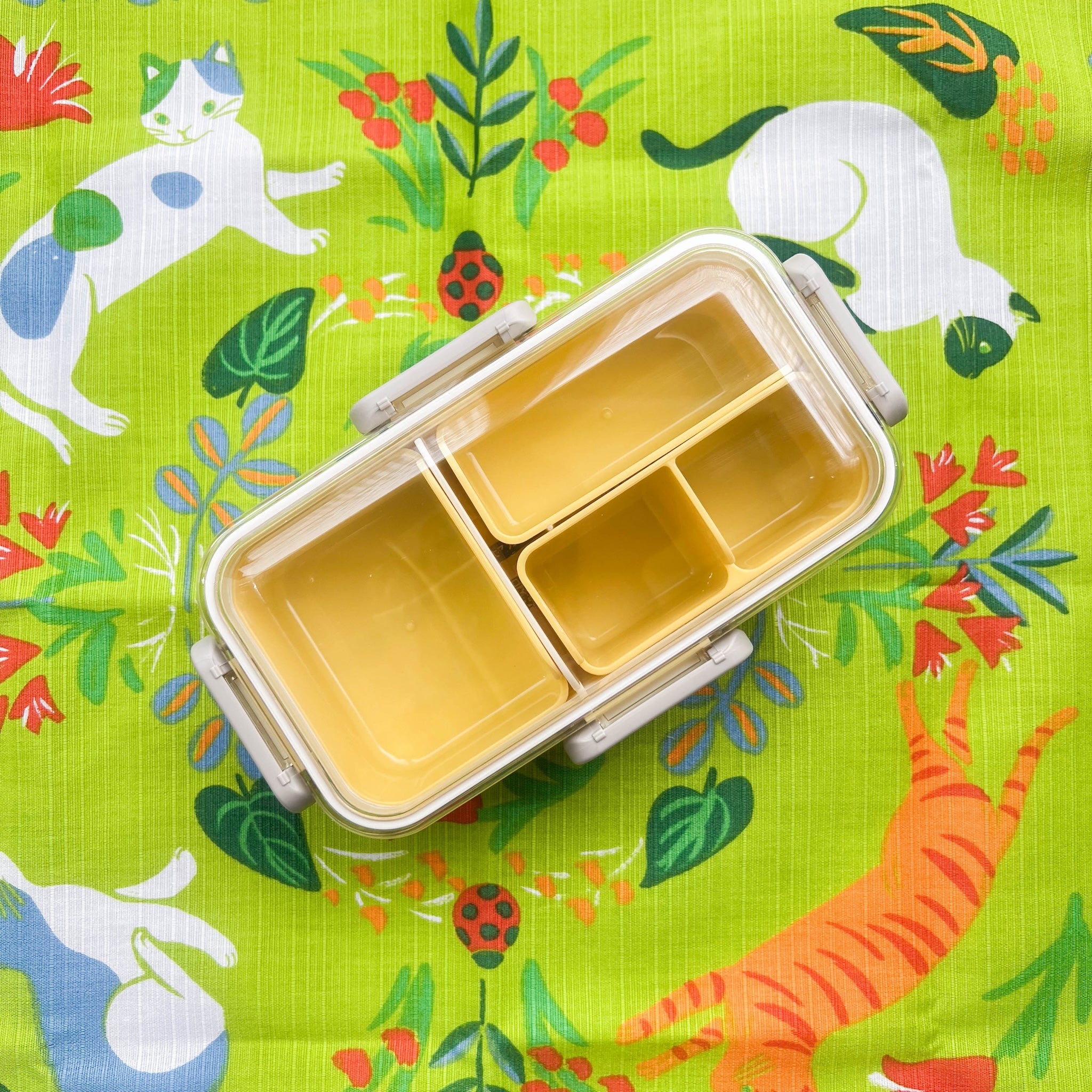 Bento Shikiri Slim (530 ml)