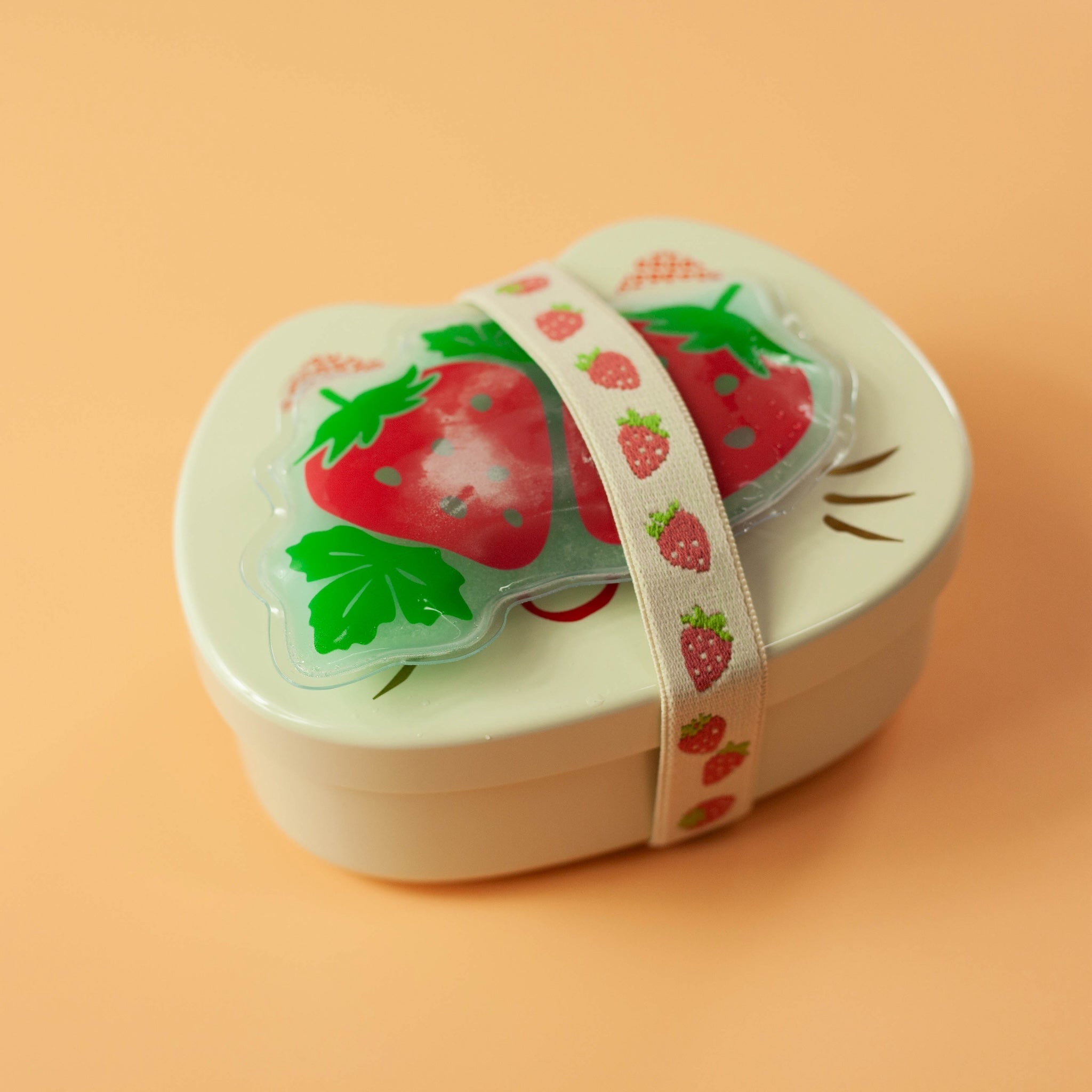 Set Elastique et Pain de Glace Fruits