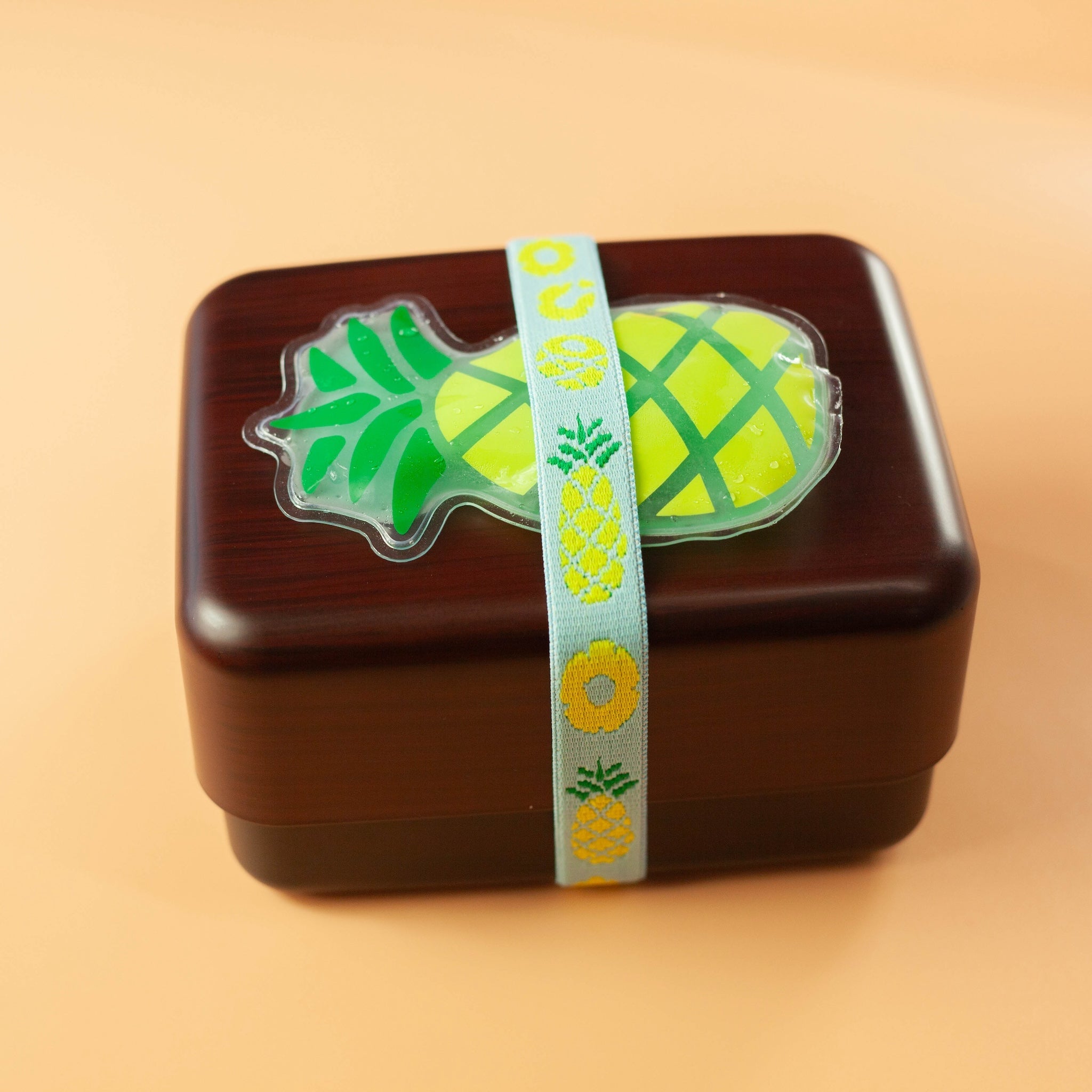 Set Elastique et Pain de Glace Fruits