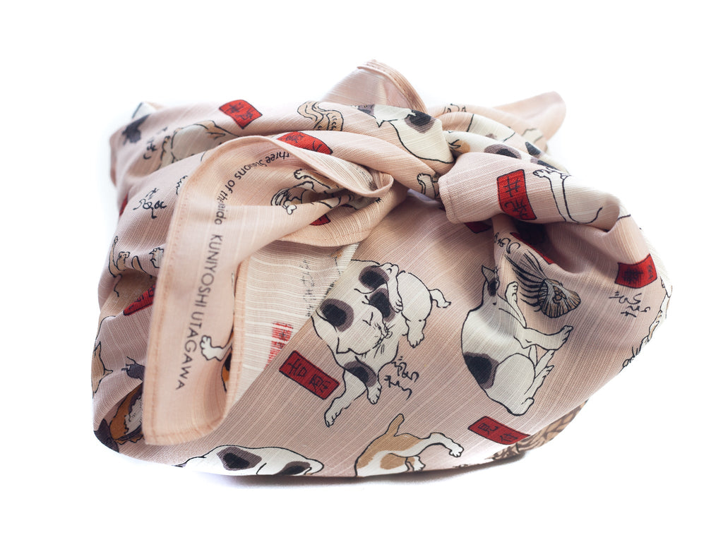 Kao Neko Bento-set (wit)