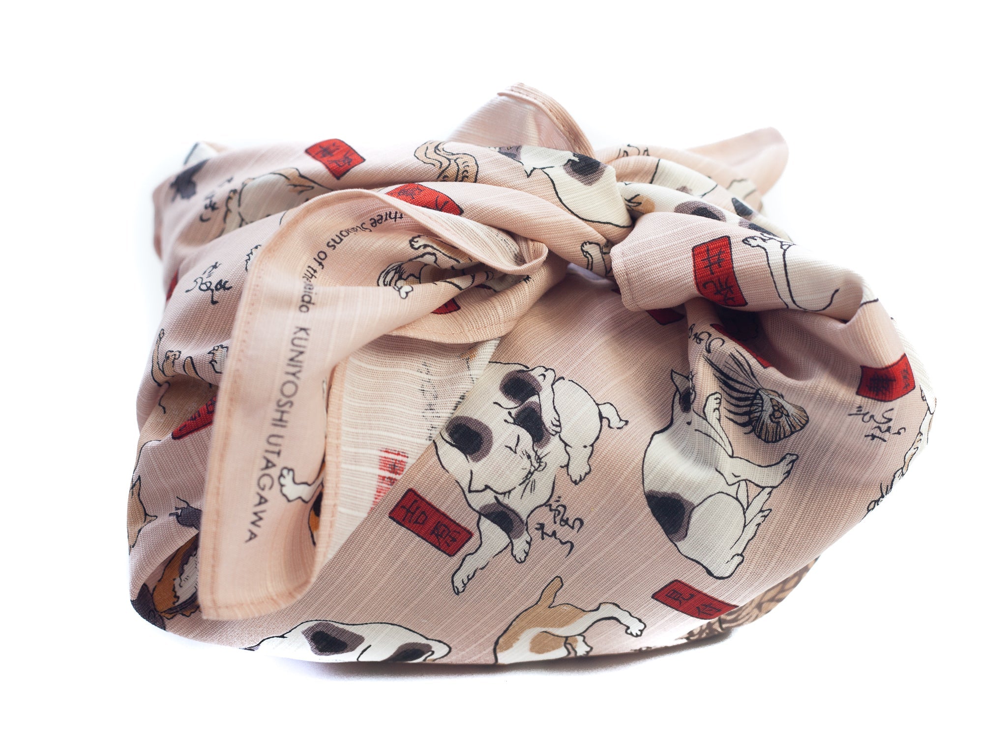 Kao Neko Bento-set (wit)