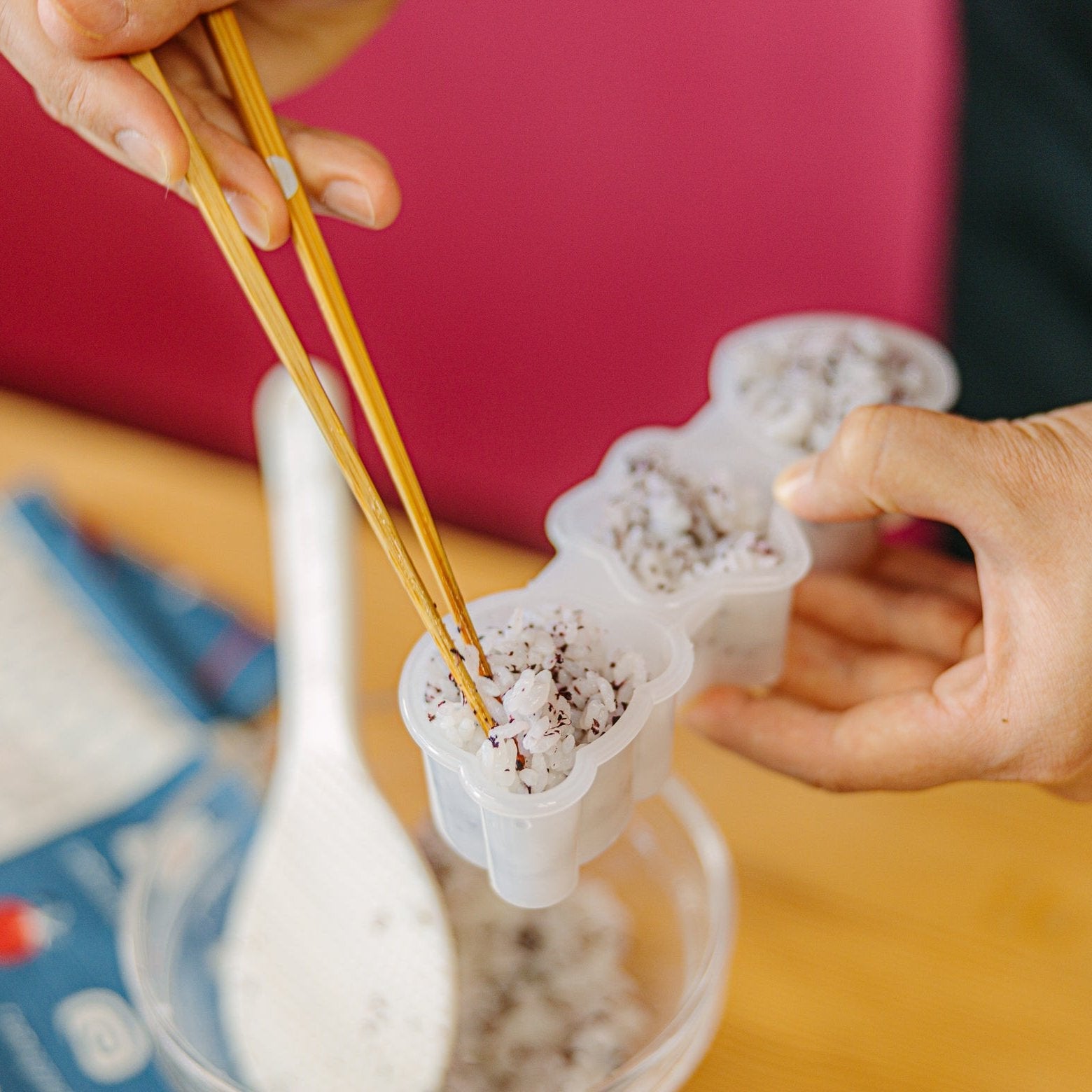 Moules à onigiri Kawaii