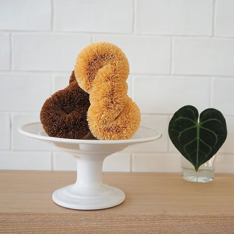 Brosse Tawashi Kamenoko Yoridokoro