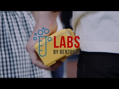 Bento pique-nique Gel-Cool - Kuma Family