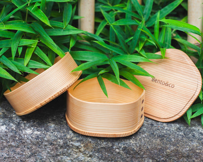 Magewappa Ume by Odate Kougei - Bento&co Japanese Bento Lunch Boxes and Kitchenware Specialists